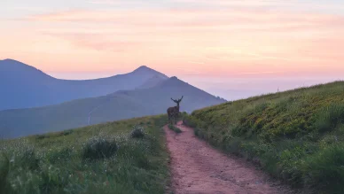 Bieszczadzki Park Narodowy Bieszczady