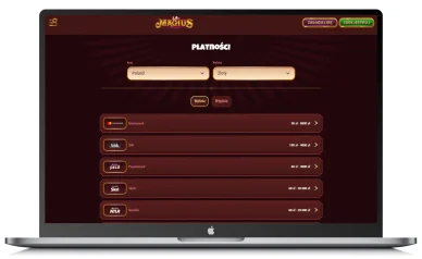 Metody płatności w Magius Casino Metody płatności w kasynie