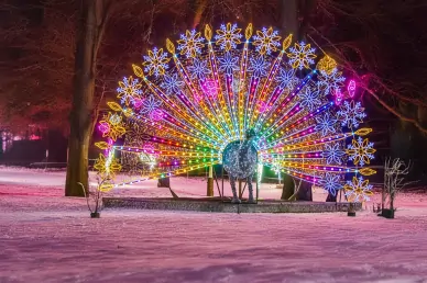 Festiwalu Ogród Świateł Ogród Świateł